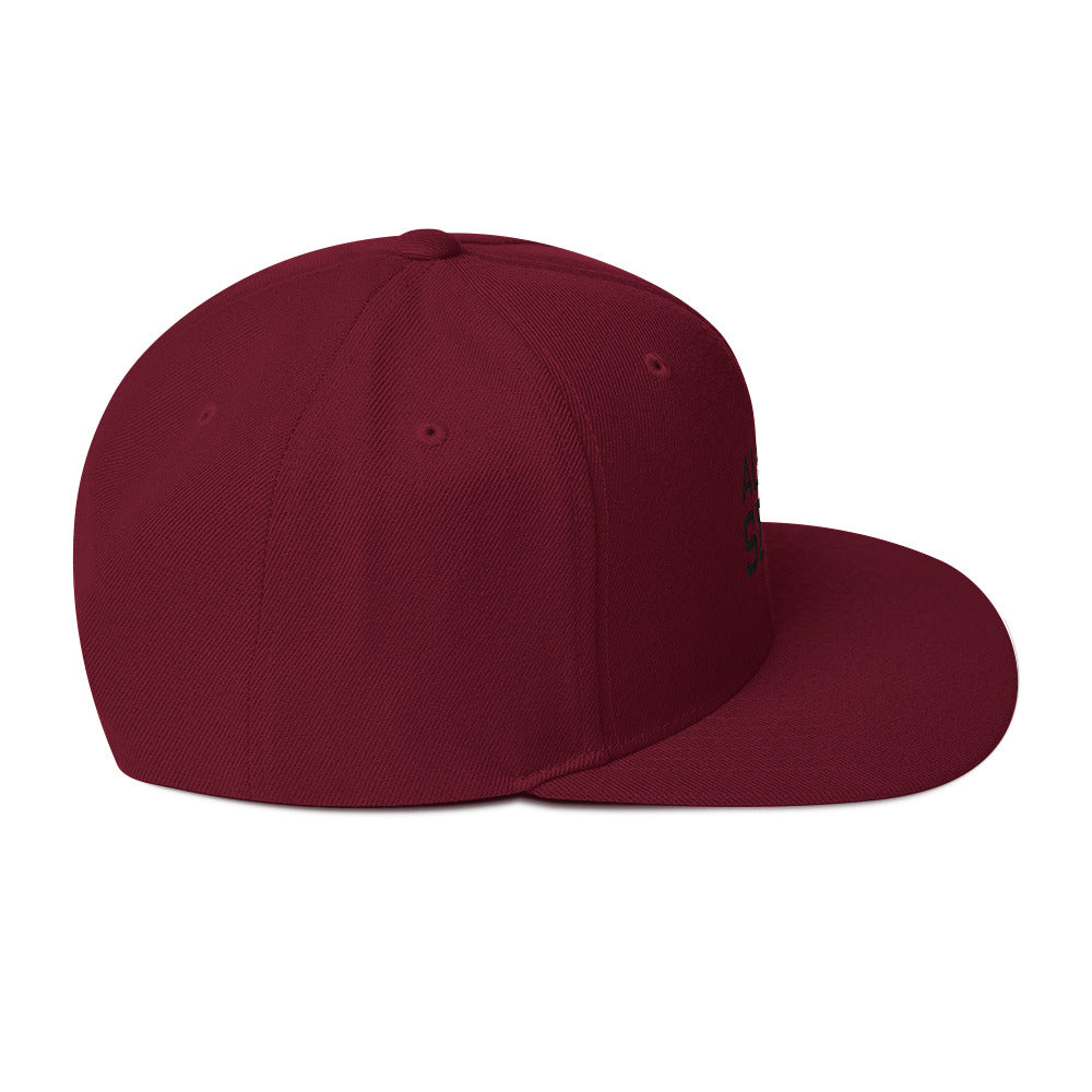 ALL PRO SELECT - Snapback Hat