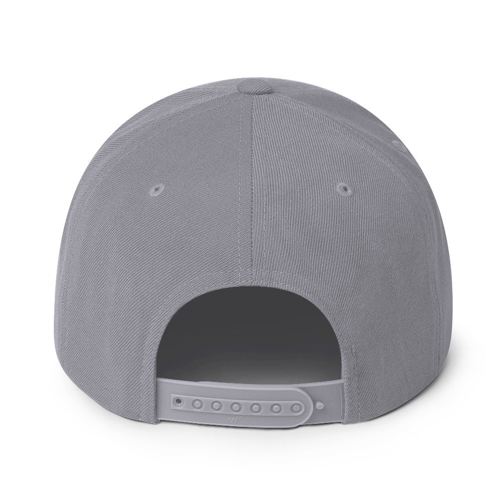 ALL PRO SELECT - Snapback Hat