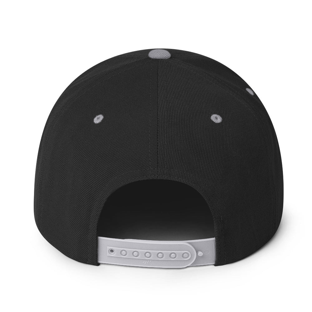 ALL PRO SELECT - Snapback Hat
