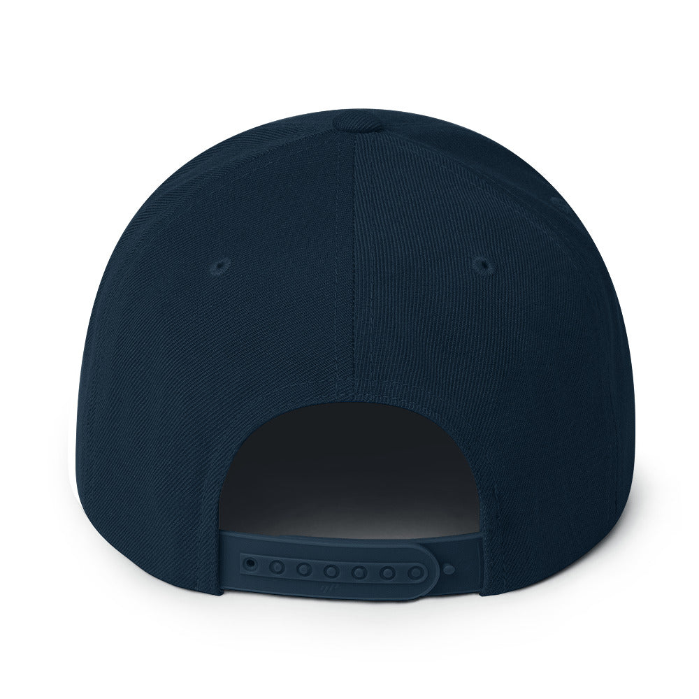 ALL PRO SELECT - Snapback Hat