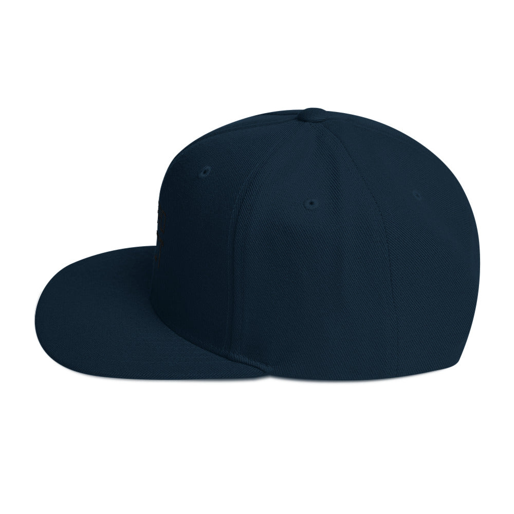 ALL PRO SELECT - Snapback Hat