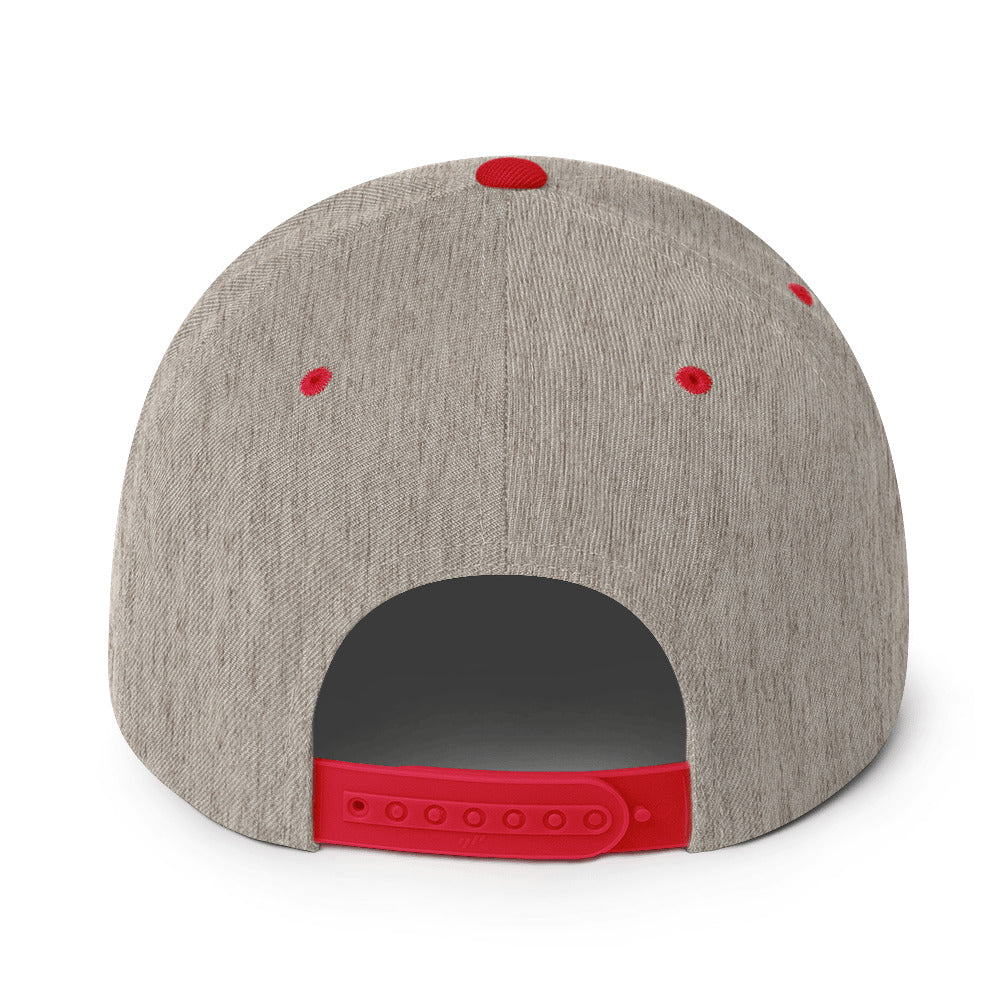 ALL PRO SELECT - Snapback Hat