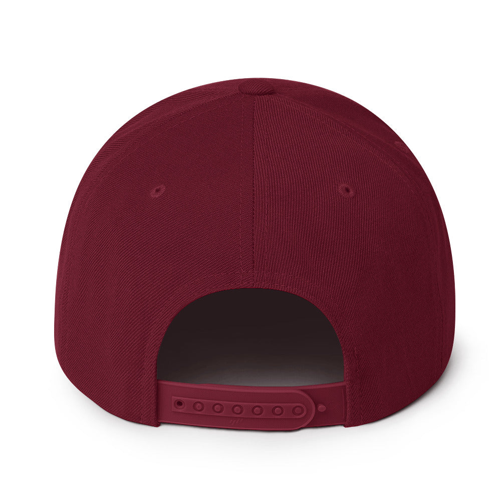 ALL PRO SELECT - Snapback Hat