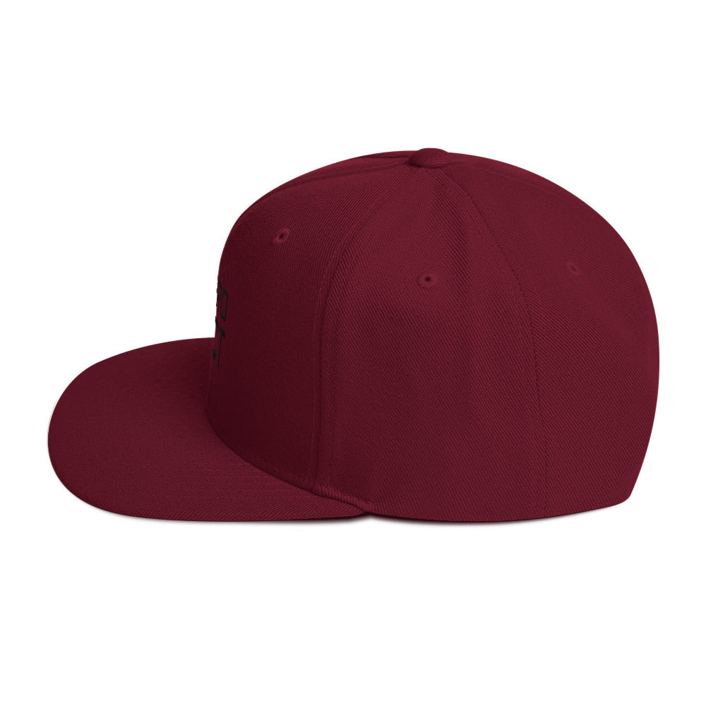 ALL PRO SELECT - Snapback Hat