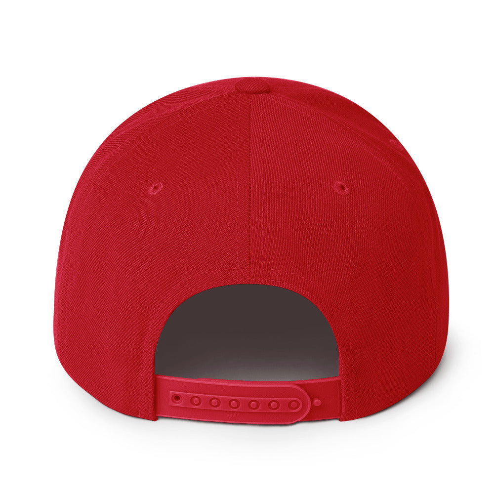 ALL PRO SELECT - Snapback Hat