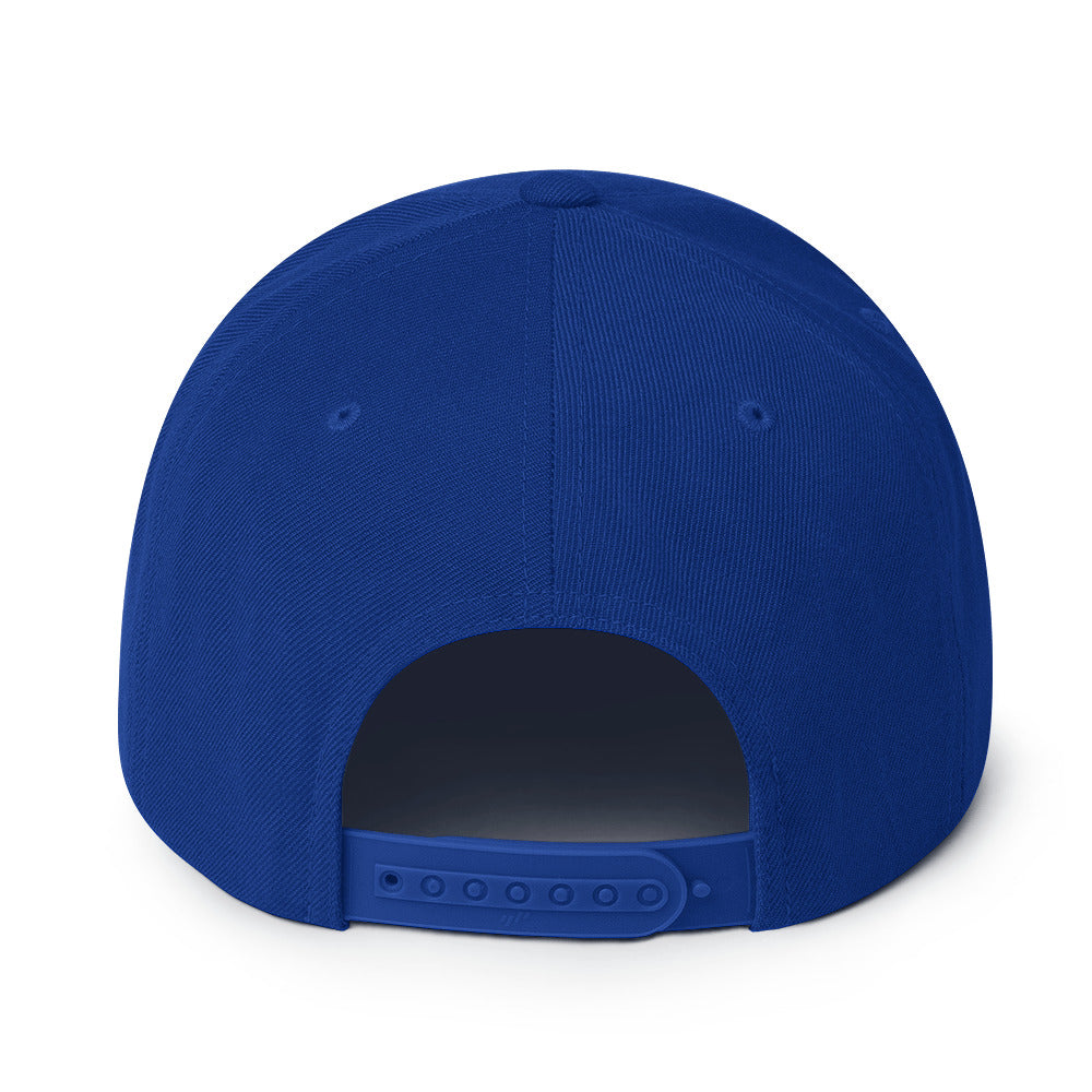 ALL PRO SELECT - Snapback Hat