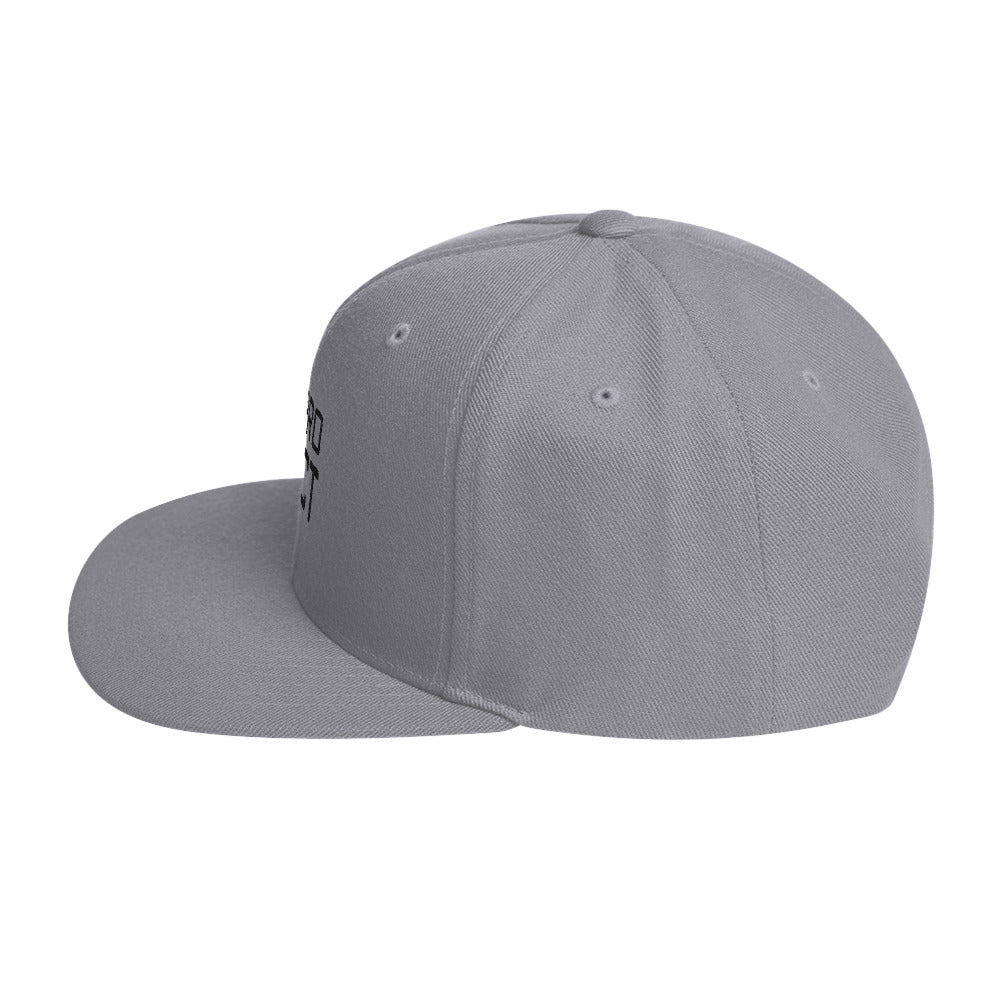 ALL PRO SELECT - Snapback Hat